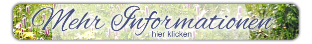 Original Schlaf - und Heilkräuterkissen von Kräuter-Buri